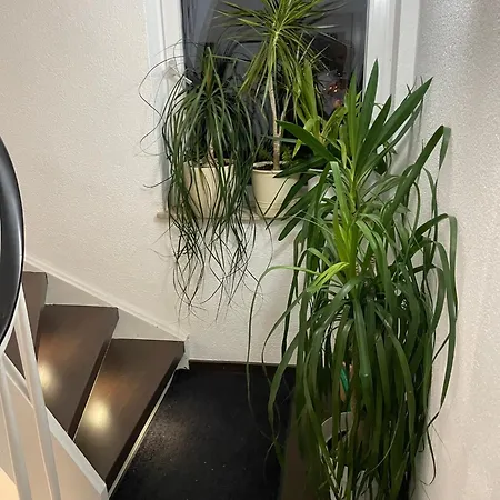 Apartamento 1 Wg Im Dachgeschoss In 70839 *